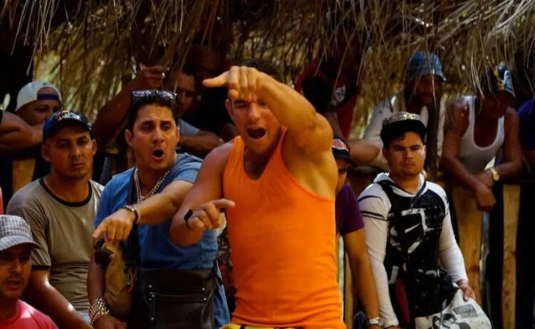 Đá Gà Chọi Cuba Hi88 Những Trận Đấu Hấp Dẫn Nhất 2025 2 Giống Đá Gà Chọi Cuba Hi88 là gì, một số đặc điểm nhận biết về giống gà này