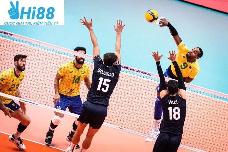 Cá cược bóng chuyền là gì?